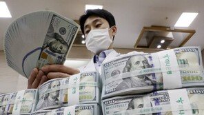 코로나로 전세계 ‘빚더미’…부채 ‘역대 최대’ 30경원