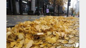 [날씨]21일 아침 최저기온 -5도 ‘기온 급하강’…공기는 ‘청정’