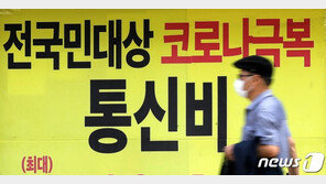 재난지원금 효과 없었다…분배 도움 안되고 소비효과도 ‘뚝’