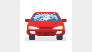 뺑소니 사망사고 내고 “내가 봤다” 목격자 행세한 70대 운전자 덜미