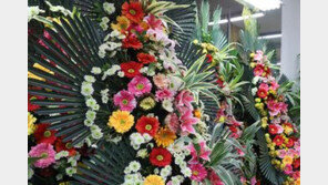 조폭 모친 100세 잔치에 현역 의원들 화환이…당사자들 “모르는 사이”