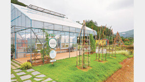 도심 속 텃밭… 도시농업문화 공간 ‘채화원’ 조성