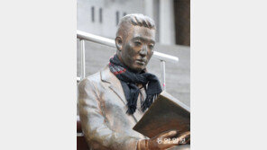 추워도 독서[고양이 눈]