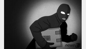 전신주에 올라가 2㎞ 넘는 전선 잘라간 50대 ‘징역 1년’