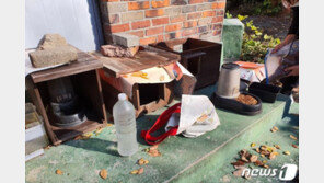 “방 빼세요”…‘급식 중단 위기’ 처한 을숙도 길고양이들