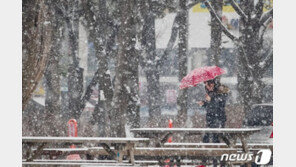 올해 ‘화이트 크리스마스’ 가능성 높아…“12월 중순부터 눈”