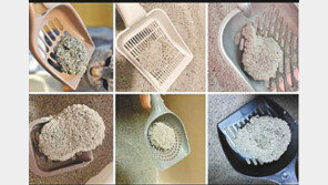 “40일간 자연에서 말려 먼지 없어요” 고양이가 좋아하는 벤토나이트 모래