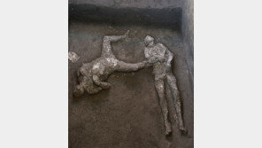 2000년전 비극… 폼페이 귀족-노예 유해 발견