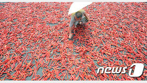 윤희숙 “자칫 가덕도 활주로에서 고추 말릴 수도…항공수요 따져보자”