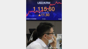 달러예금 최대치 기록…외화예금 잔액도 급증세