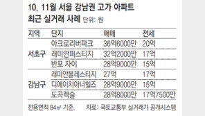 지붕 뚫은 강남 전셋값… 30평대가 20억 기록