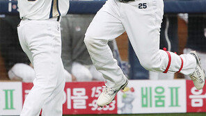 ‘공룡 탈’ 쓴 양, 지친 곰 두들기다