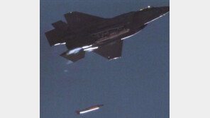 ‘北염두’ 美 신형 전술 핵폭탄 F-35 전투기서 투하실험 첫 성공