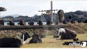 조류인플루엔자 방역 비상…토종닭 등 ‘방사’ 금지 요청