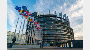 유럽의회, 2020 이후 미래 산림전략에 대한 결의안 통과시켜