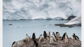 극지연 “사라진 남극 빙하 30%는 덜 내린 눈 때문”