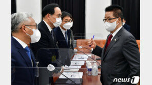 대공수사권 이관 법안, 與 27일 상임위 단독 처리 전망