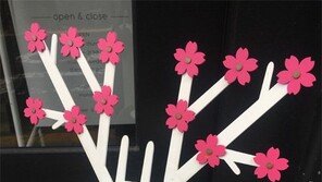 꽃사슴[고양이 눈]