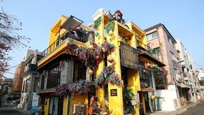 “여긴 호이안” 사진 올리면… 현지인도 깜빡 속아