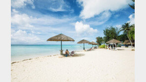 사이판 등 북마리아나제도, 여행경보 최저단계로 완화