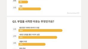 “회사엔 비밀” 온라인 쇼핑몰, 유튜브 등 부업하는 직장인…월수입은?