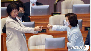 손혜원 “與인사, 대통령 팔아 尹에게 ‘임기 지켜’ 거짓말…秋, 文에게 확인”