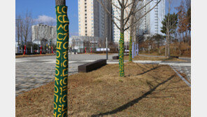 세종호수공원, 겨울맞이 예쁜 ‘나무 옷’ 착용