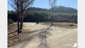 “은하수길이 어디예요?”…밤마다 태화강 국가정원 헤매는 관광객들