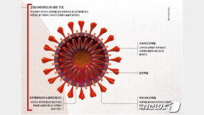 서울 강서구 확진자, 충주 소아청소년과의원 방문…접촉자 파악 중
