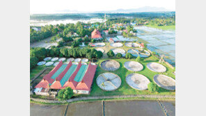 양식장 3000만원 투자로 월 90만원 수익