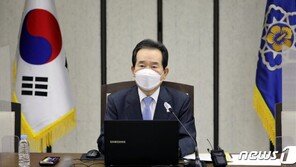 丁총리 “직구, 안해본 사람 있어도 한번은 없다”…피해 대책 지시