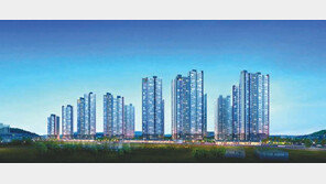 15년 만에 선보이는 사하 메머드급 단지