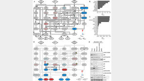 노화 세포를 젊은 세포로 되돌린다…KAIST, 원천기술 개발