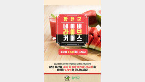 함안군 “수박 등 지역 농산물·가공품 판매 라이브커머스 진행”