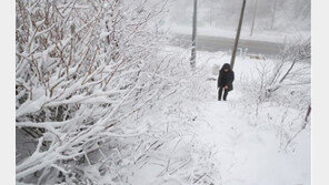 “올 12월, 기온 큰 폭으로 떨어져 춥다…대설 주의”