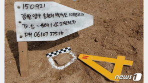 화살머리고지·강원 양구서 발굴된 ‘6·25 전사자’ 유해 2구 신원 확인