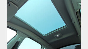 아파트 18층서 추락한 30대 목숨 건져…車 선루프가 살렸다