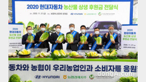 현대차-농협, 농산물 소비촉진 위한 상생 마케팅 전개