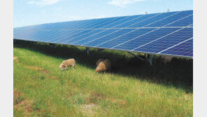 그린수소 에너지-친환경 플라스틱 기술 개발