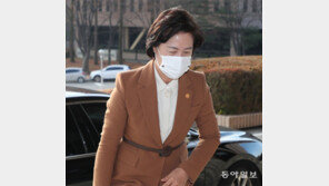 법무부 감찰위 1일 소집… ‘추미애 장관의 윤석열 총장 감찰’ 적법성 따진다