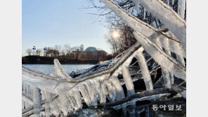북반구 폭발적 확산… 실내 활동 많아져 더 위험