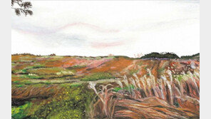 [그림책 한조각]나의 할망