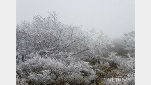 제주 한라산서 첫눈 관측…작년보다 10일 늦어