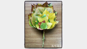 늦은 가을[고양이 눈]