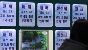 서울 아파트 월세 최대폭 상승… 중소형 매매 9억 돌파