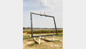 2020년의 추억[고양이 눈]