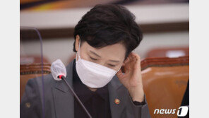 호텔개조 주택, 1인용 적합하지만 3~4인용 전세대책 아니다