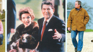 美 역대 대통령과 백악관에 함께 간 퍼스트 도그-캣