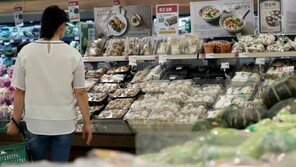 11월 소비자물가 0.6%↑ 그쳐…채소·고깃값은 ‘고공행진’