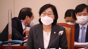 여가위 출석했는데 한마디도 못한 이정옥 여가부 장관…왜?
